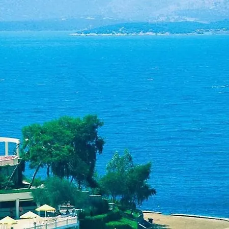 Roseira Gulluk