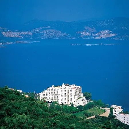 Roseira Gulluk