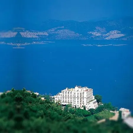 Roseira Gulluk