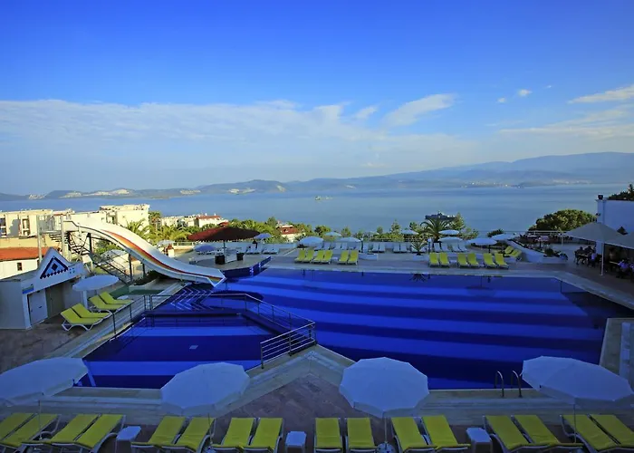 Roseira 4*